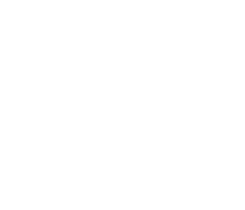 d'Angleterre Logo large White d'Angleterre Logo large White